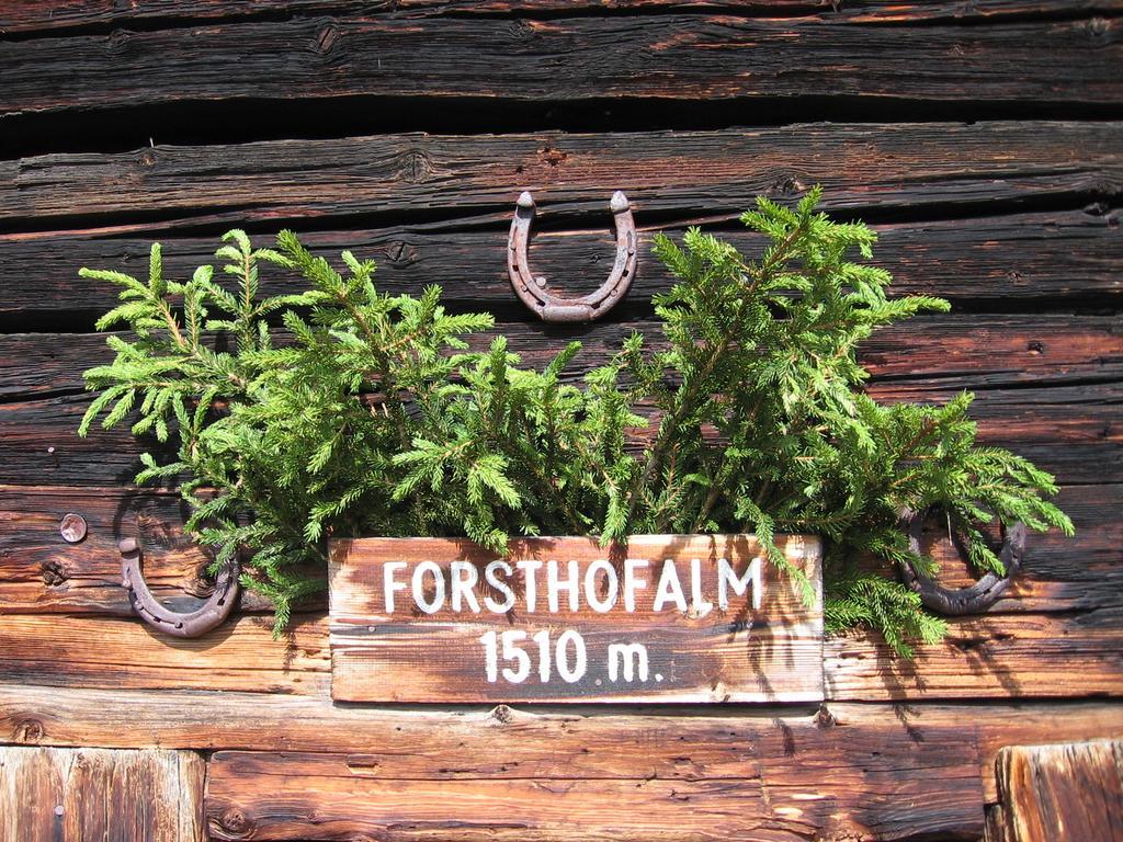 Pension Forsthof Maishofen Exterior photo